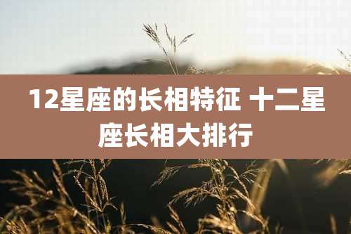 12星座的长相特征 十二星座长相大排行