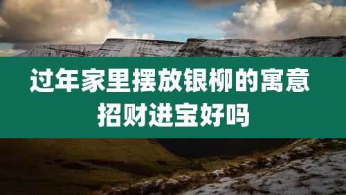 过年家里摆放银柳的寓意 招财进宝好吗