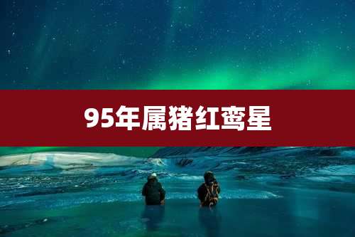 95年属猪红鸾星