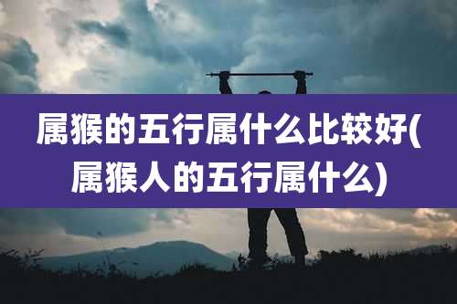 属猴的五行属什么比较好(属猴人的五行属什么)