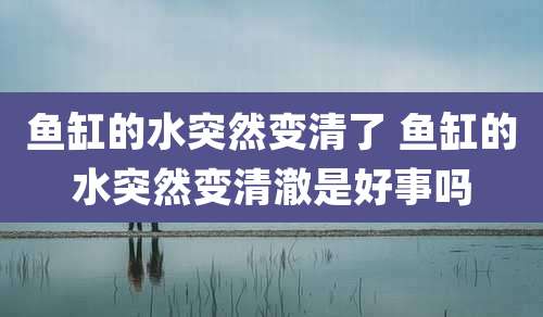鱼缸的水突然变清了 鱼缸的水突然变清澈是好事吗
