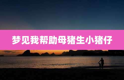 梦见我帮助母猪生小猪仔