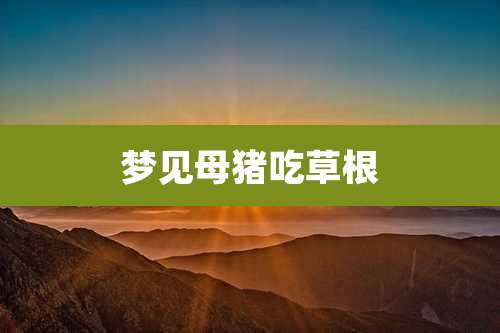 梦见母猪吃草根