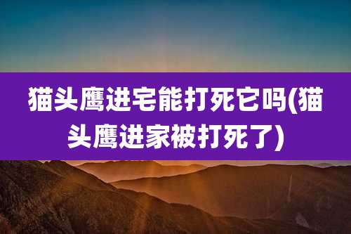 猫头鹰进宅能打死它吗(猫头鹰进家被打死了)