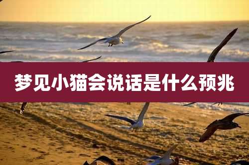 梦见小猫会说话是什么预兆