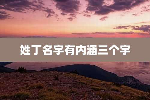姓丁名字有内涵三个字