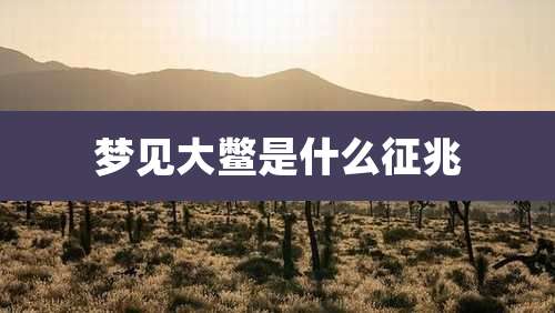 梦见大鳖是什么征兆