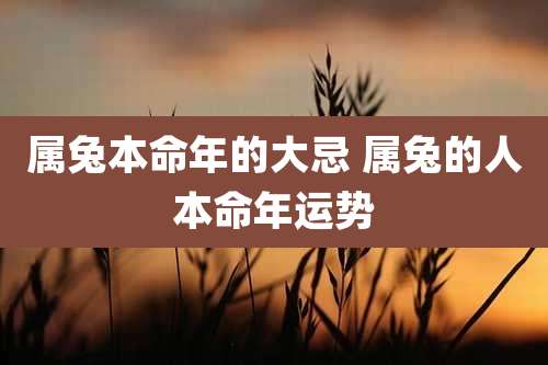 属兔本命年的大忌 属兔的人本命年运势