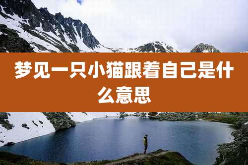 梦见一只小猫跟着自己是什么意思