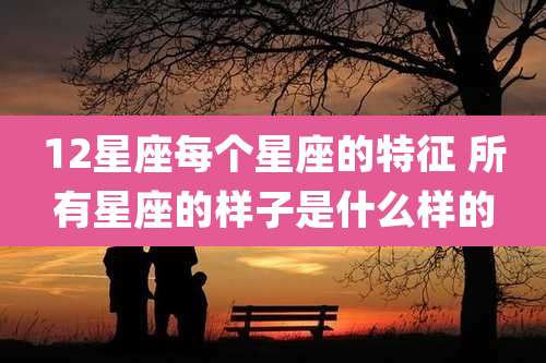 12星座每个星座的特征 所有星座的样子是什么样的