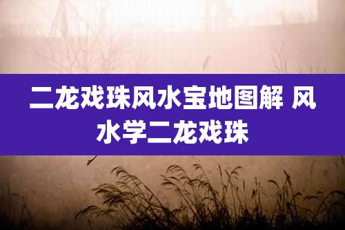 二龙戏珠风水宝地图解 风水学二龙戏珠