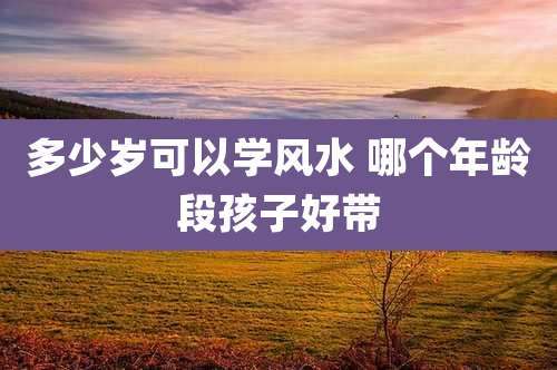 多少岁可以学风水 哪个年龄段孩子好带
