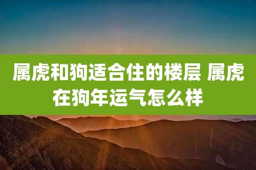 属虎和狗适合住的楼层 属虎在狗年运气怎么样