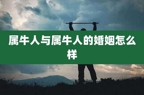 属牛人与属牛人的婚姻怎么样