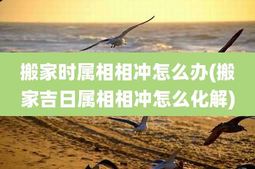 搬家时属相相冲怎么办(搬家吉日属相相冲怎么化解)