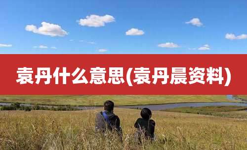 袁丹什么意思(袁丹晨资料)