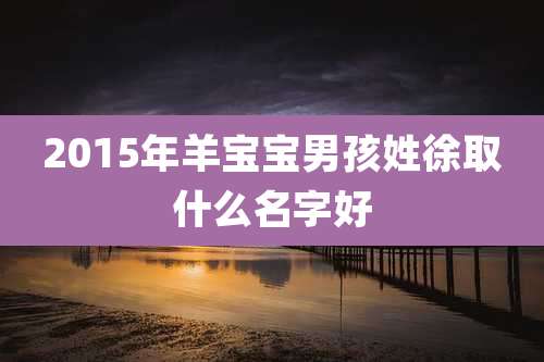 2015年羊宝宝男孩姓徐取什么名字好