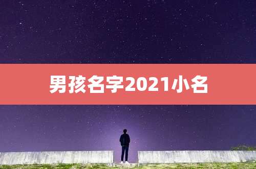 男孩名字2021小名