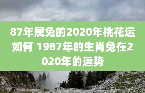 87年属兔的2020年桃花运如何 1987年的生肖兔在2020年的运势
