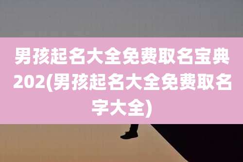 男孩起名大全免费取名宝典202(男孩起名大全免费取名字大全)