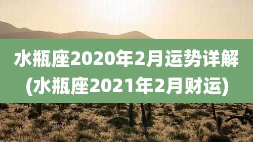 水瓶座2020年2月运势详解(水瓶座2021年2月财运)