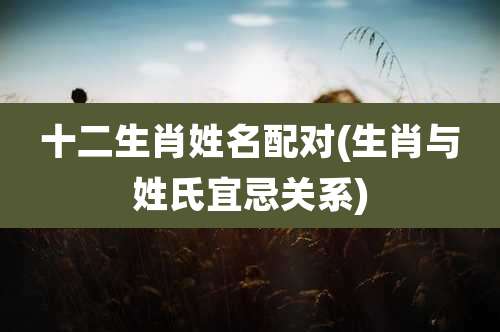 十二生肖姓名配对(生肖与姓氏宜忌关系)