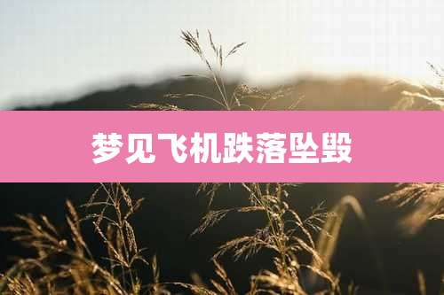 梦见飞机跌落坠毁