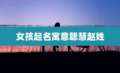 女孩起名寓意聪慧赵姓