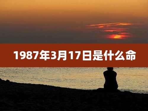 1987年3月17日是什么命