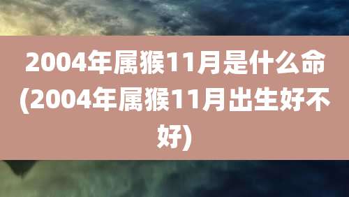 2004年属猴11月是什么命(2004年属猴11月出生好不好)