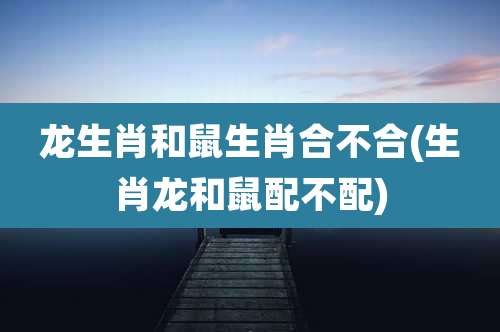 龙生肖和鼠生肖合不合(生肖龙和鼠配不配)