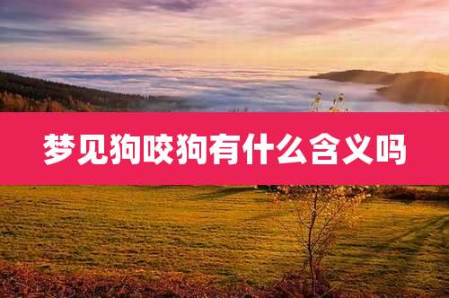 梦见狗咬狗有什么含义吗