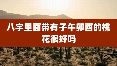 八字里面带有子午卯酉的桃花很好吗