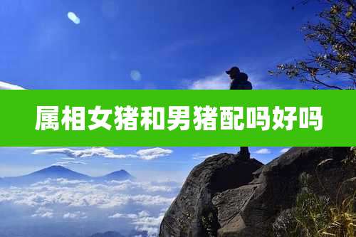 属相女猪和男猪配吗好吗