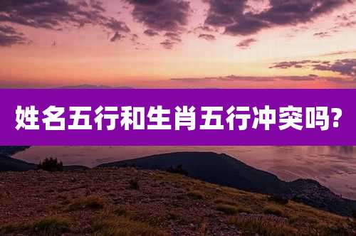 姓名五行和生肖五行冲突吗?