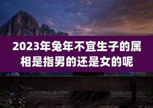 2023年兔年不宜生子的属相是指男的还是女的呢