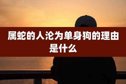 属蛇的人沦为单身狗的理由是什么