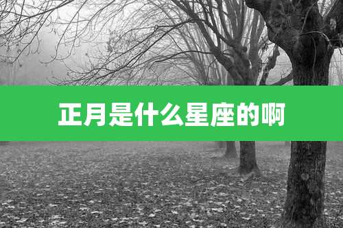 正月是什么星座的啊