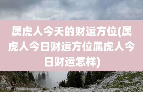 属虎人今天的财运方位(属虎人今日财运方位属虎人今日财运怎样)