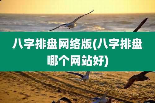 八字排盘网络版(八字排盘哪个网站好)