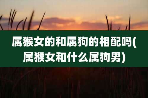 属猴女的和属狗的相配吗(属猴女和什么属狗男)