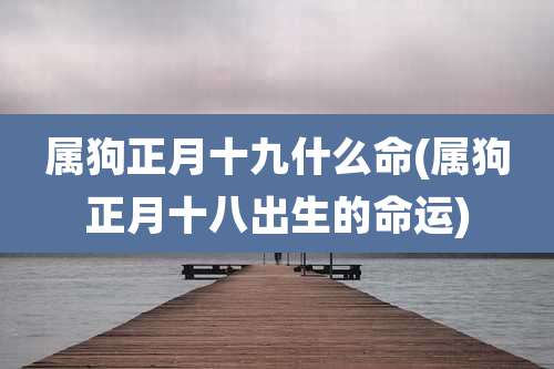 属狗正月十九什么命(属狗正月十八出生的命运)