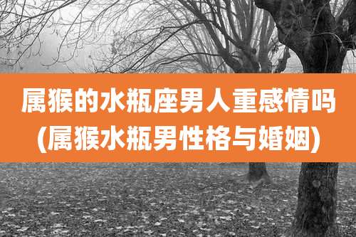 属猴的水瓶座男人重感情吗(属猴水瓶男性格与婚姻)