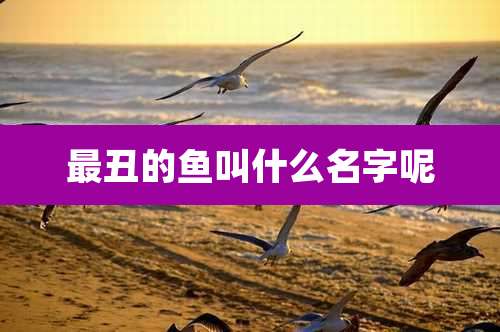 最丑的鱼叫什么名字呢