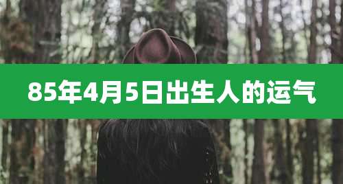 85年4月5日出生人的运气