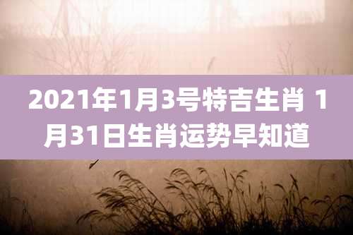 2021年1月3号特吉生肖 1月31日生肖运势早知道