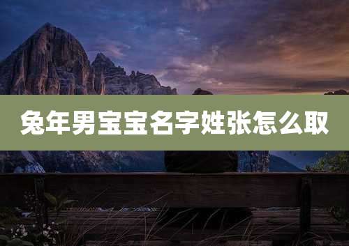 兔年男宝宝名字姓张怎么取