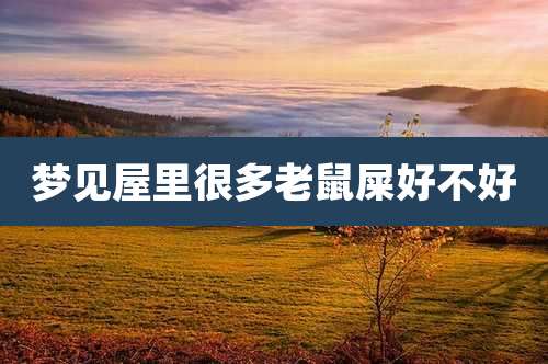 梦见屋里很多老鼠屎好不好