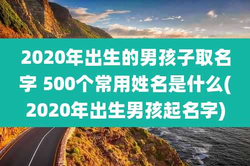 2020年出生的男孩子取名字 500个常用姓名是什么(2020年出生男孩起名字)