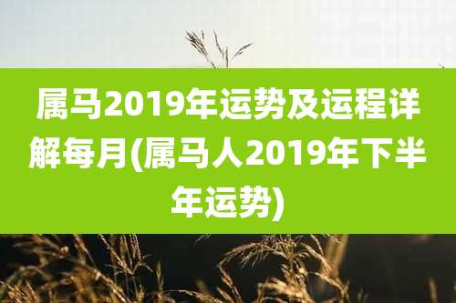 属马2019年运势及运程详解每月(属马人2019年下半年运势)
